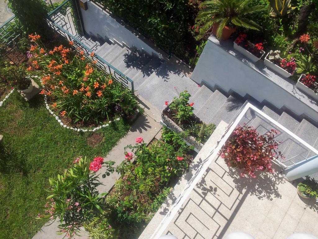 Panorama Apartments Budva Buitenkant foto